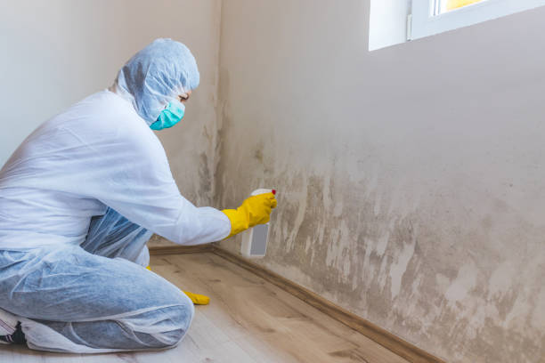 Hvac And Air Duct Mold Remediation inspection of HVAC system in Verona